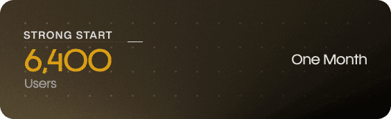 6,400 users, one month in